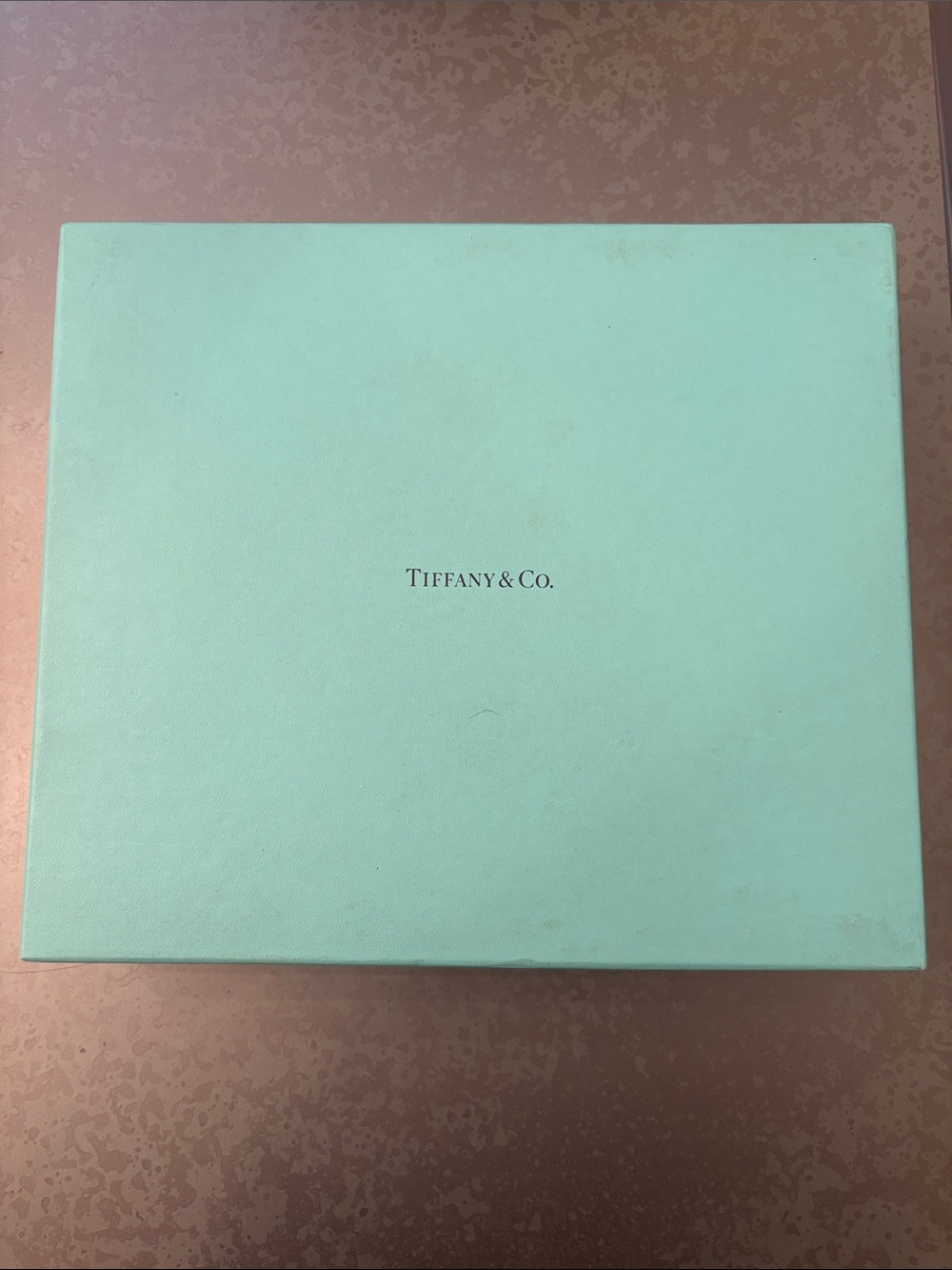 Tiffany & Co. Robin's-egg Blue Baby Photo/Memento Album